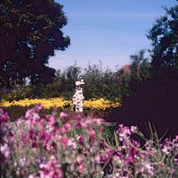 Windmill 2009